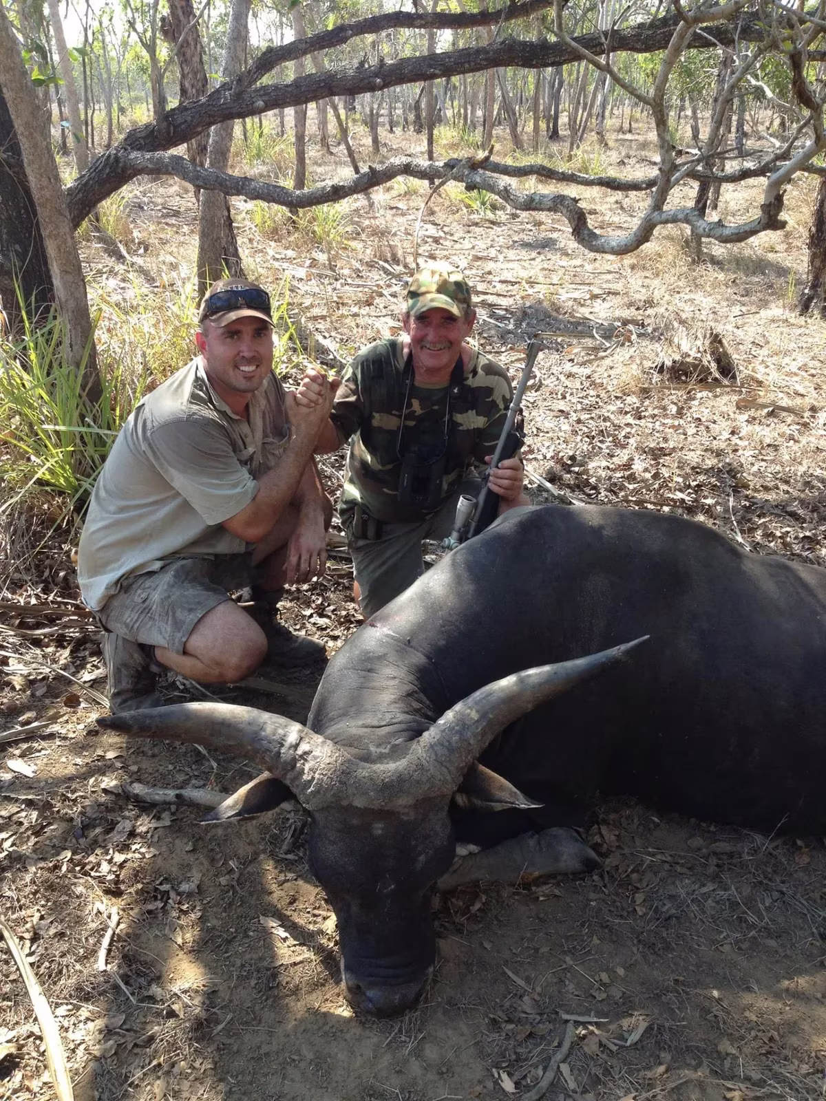 Guide and hunter shaking hands over a buffalo bull