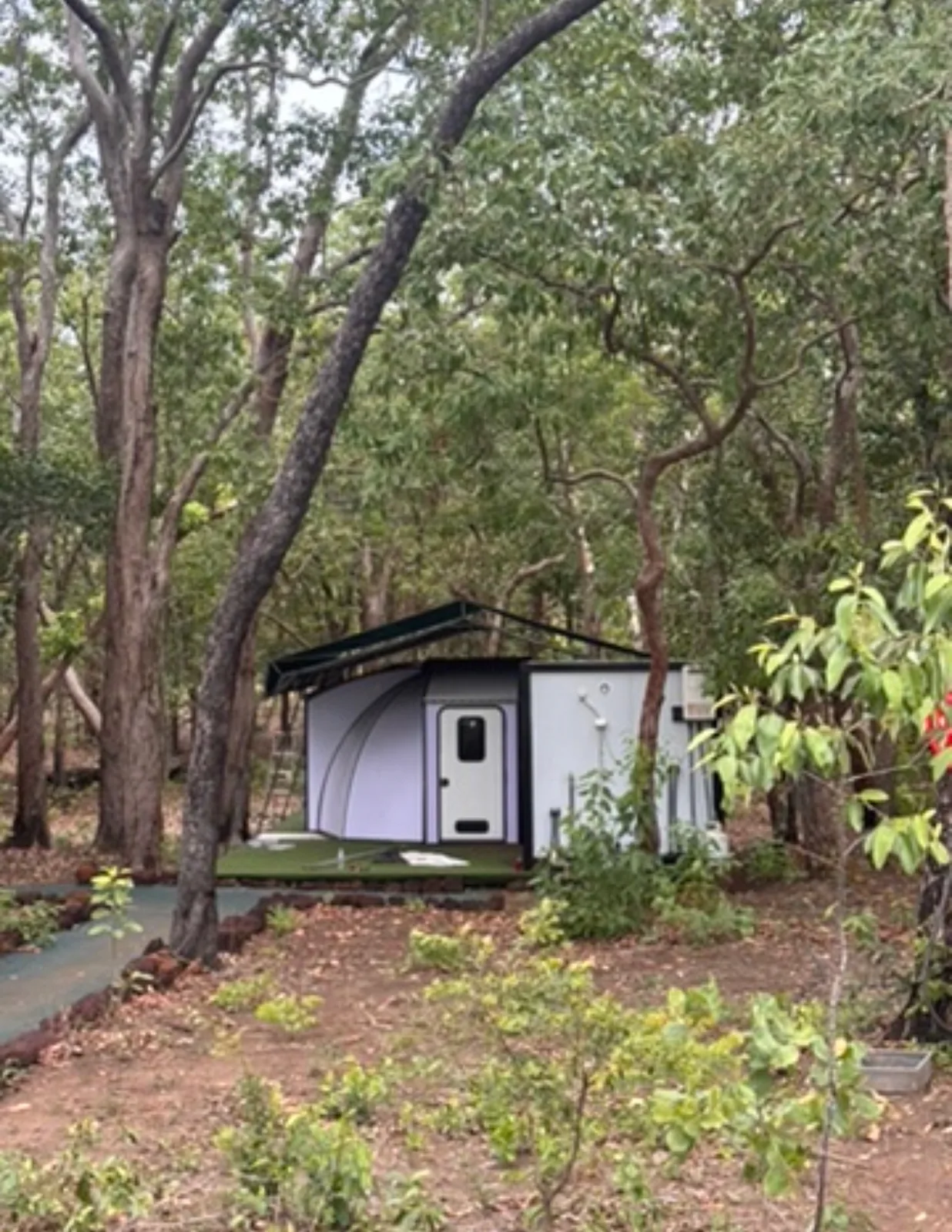 Pod in a quiet clearing among the trees