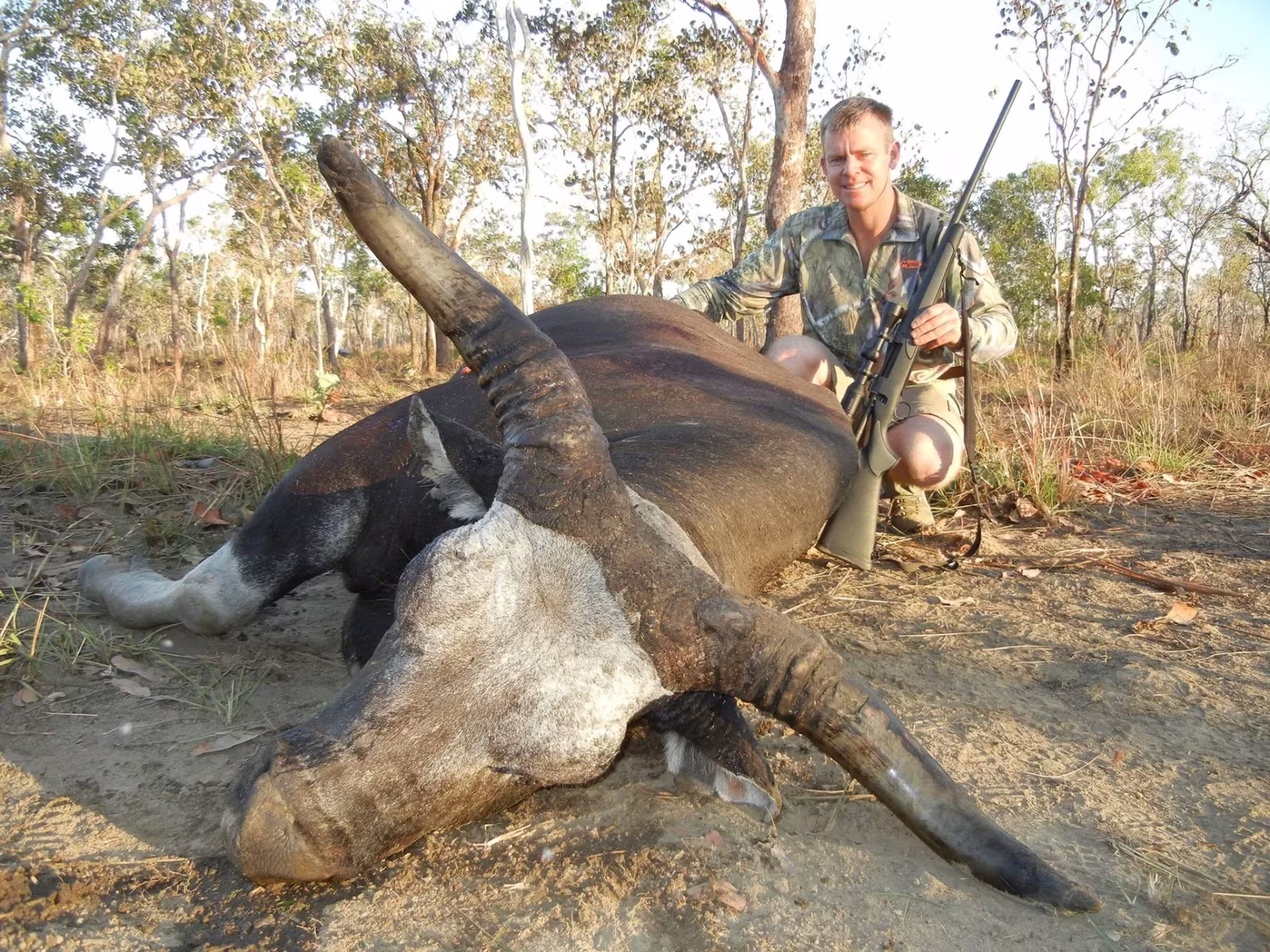 Hunter with rifle beside a heavy-horned buffalo bull