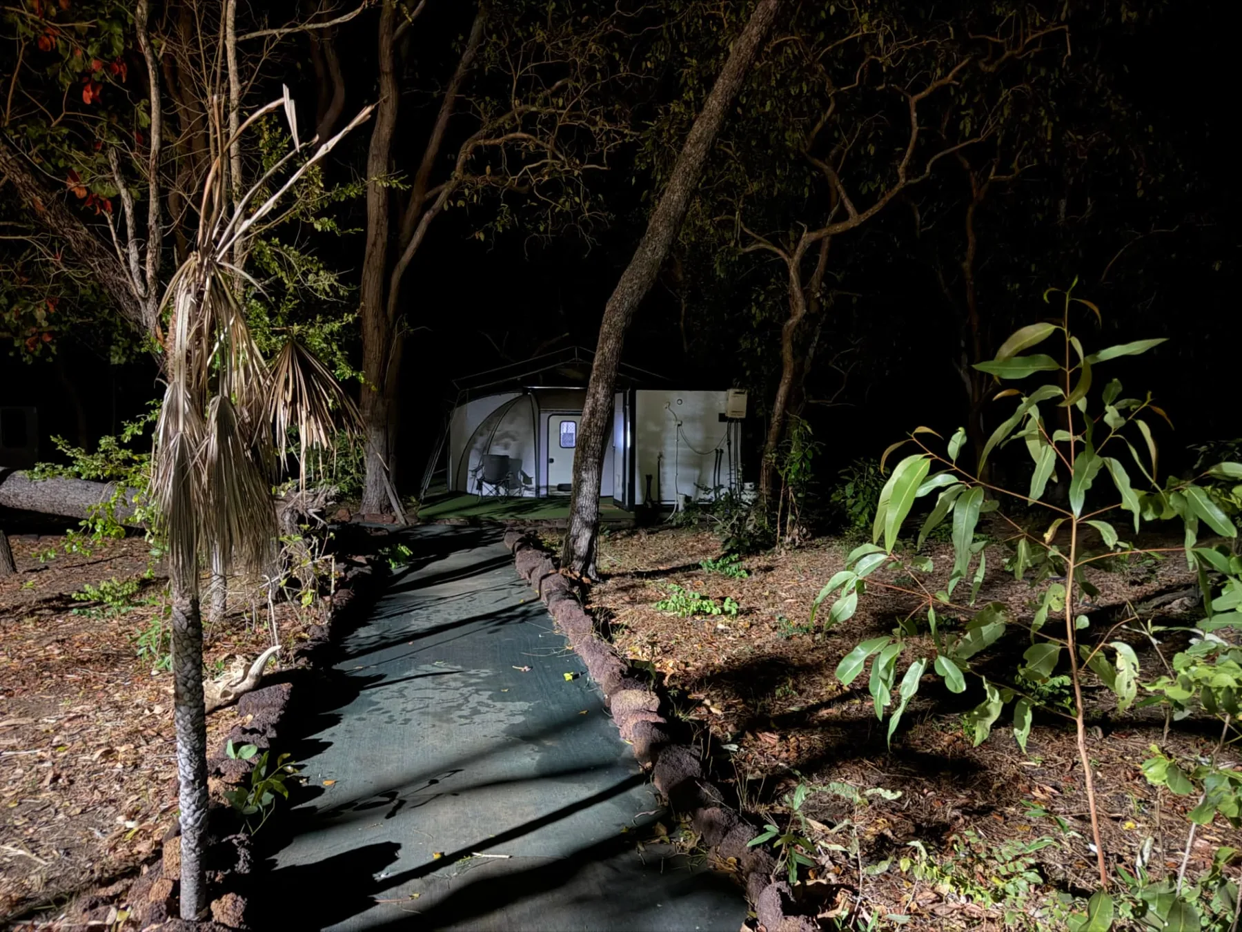 Lit path through the bush to the sleeping pods at night